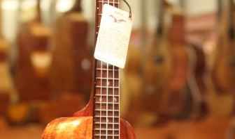 best cheap ukuleles