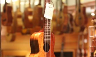 best ukuleles under 200