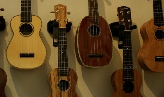 best ukuleles on amazon